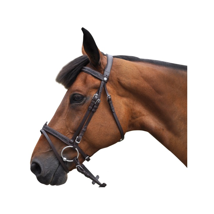 Bridon à strass - CANTER
