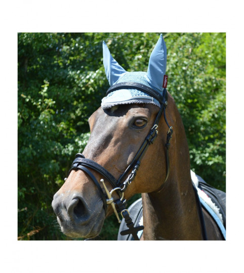 Bridon Strass - CANTER