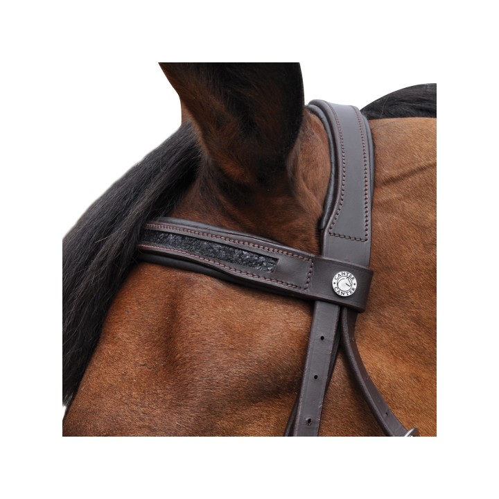Bridon Strass