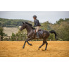Gilet airbag Air - EQUITHEME