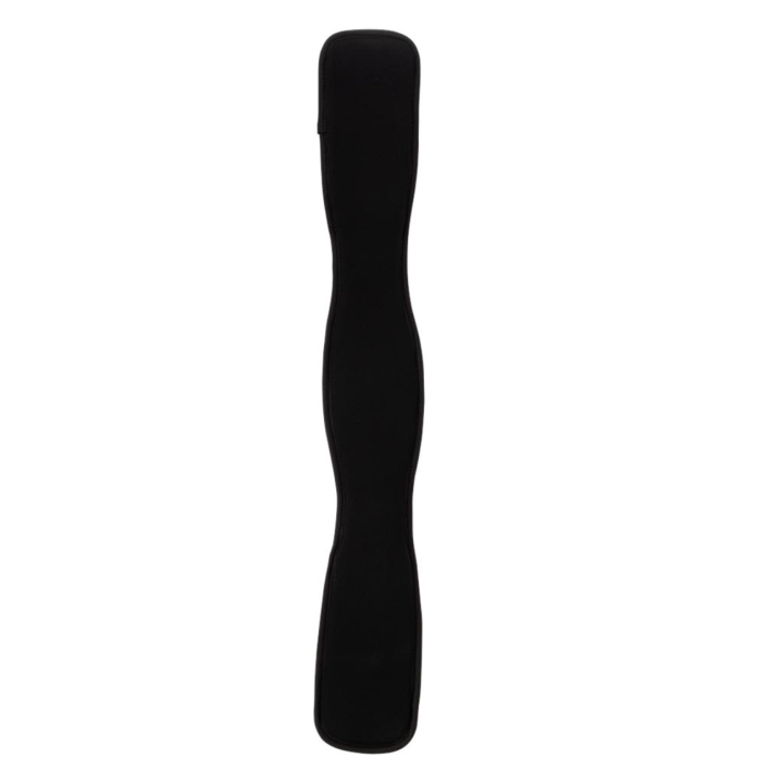 Sangle dressage évolution