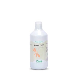 energie flash nutragile
