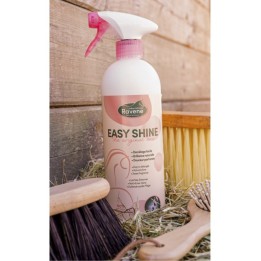 Spray easy shine