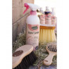 Spray easy shine - RAVENE