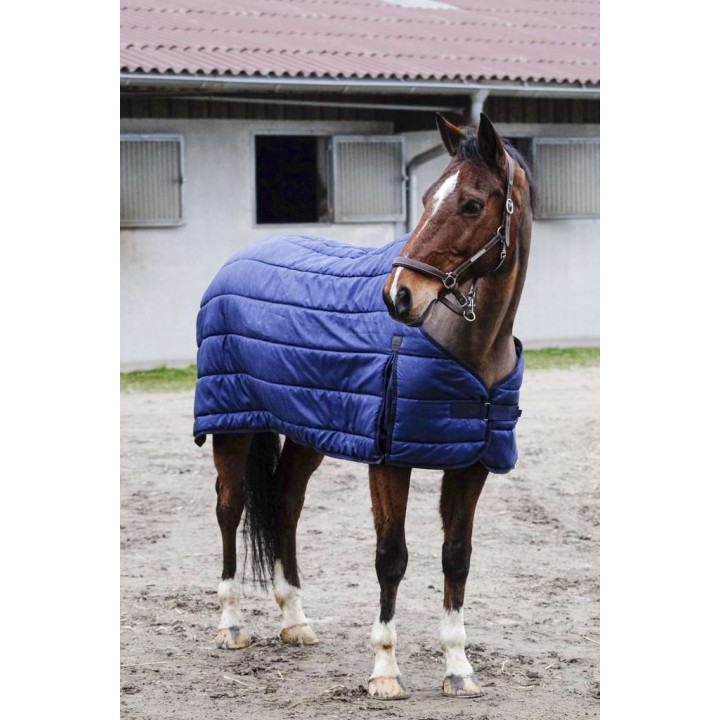 Sous couverture Classic 200gr - EQUITHEME