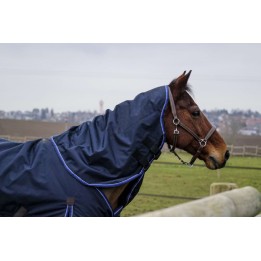 Couvre cou Classic 150gr - EQUITHEME