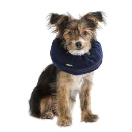 Collerette pour chien - KERBL