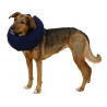 Collerette pour chien - KERBL