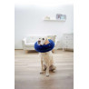 Collerette pour chien - KERBL