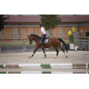 Tee shirt Lewis - EQUITHEME