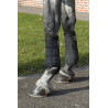 Guêtres 3D Mesh - BACK ON TRACK