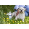Spray anti-puces et tiques - TRIXIE