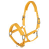 Licol SS24 - COVALLIERO