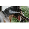Démêlant show Coat - REKOR