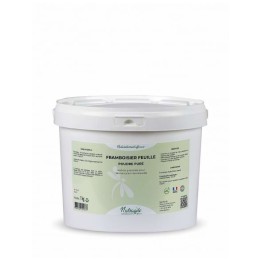 Framboisier plante pure