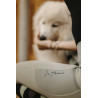 Legging Flora sauge - EQUITHEME