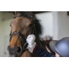 Gants nettoyant cuir - BELVOIR TACK