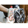 Shampoing Silkcar - LEOVET