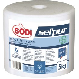 Pierre à sel pur