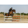 Airbag Air2 - EQUITHEME