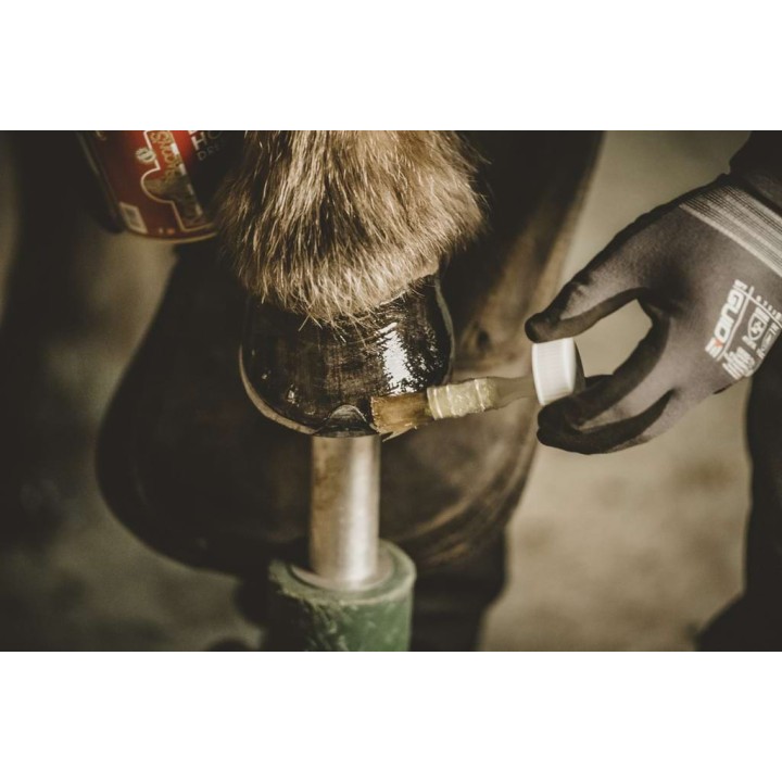 Huile Hoof Dressing