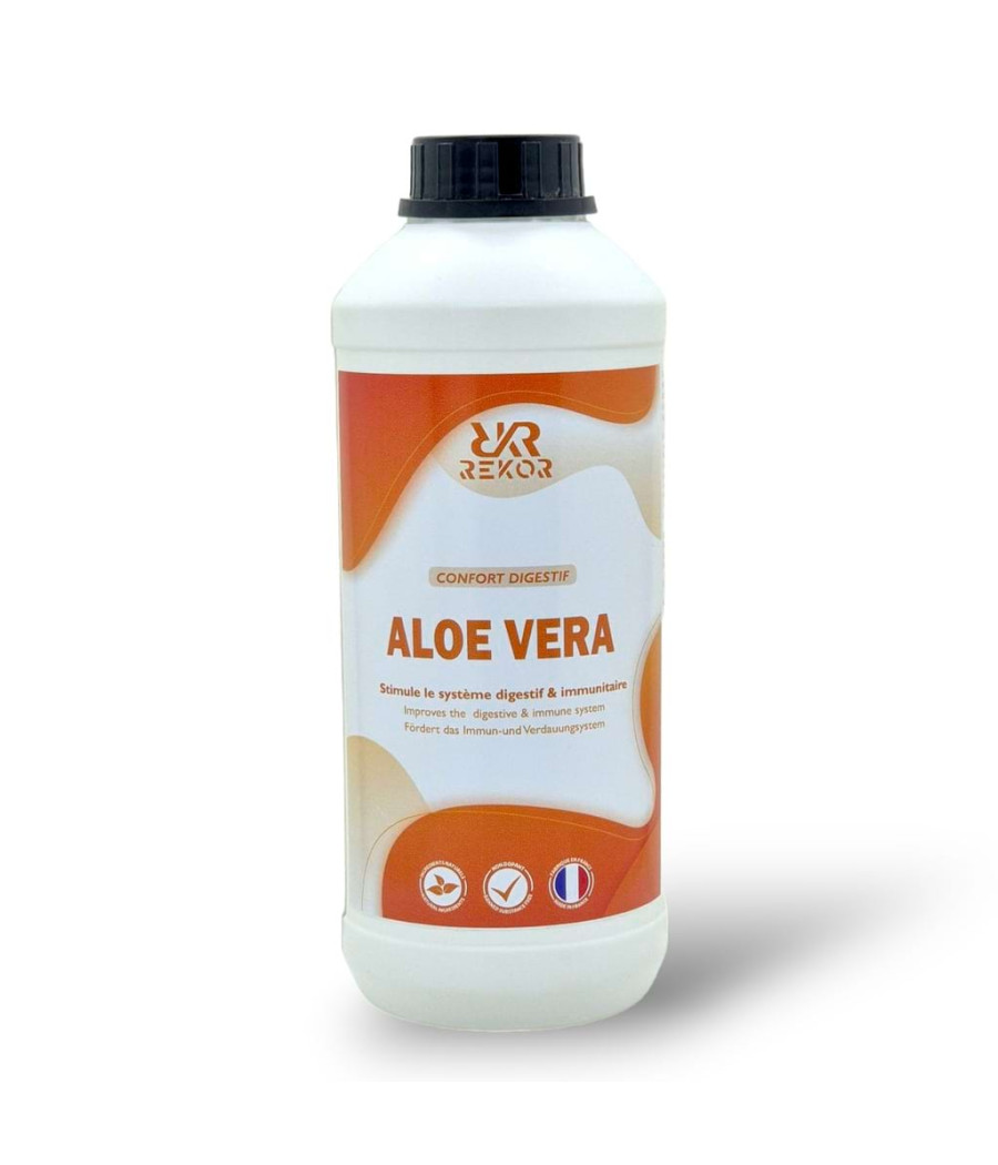 Aloe vera - REKOR