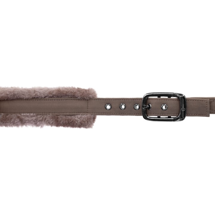 Licol AW24