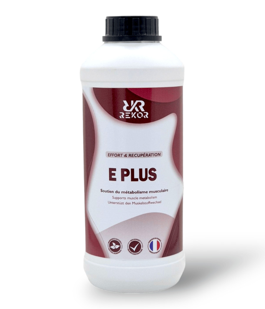 E PLUS - REKOR
