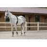 Longues rênes - RIDING WORLD