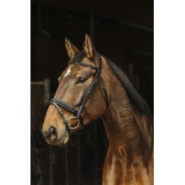 Bridon poney Apophyse