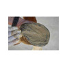 Magic Pied - NUTRAGILE