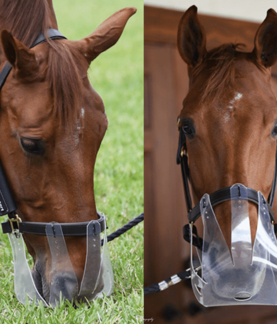 PACK THINLINE Mini-Poney 3.5cm