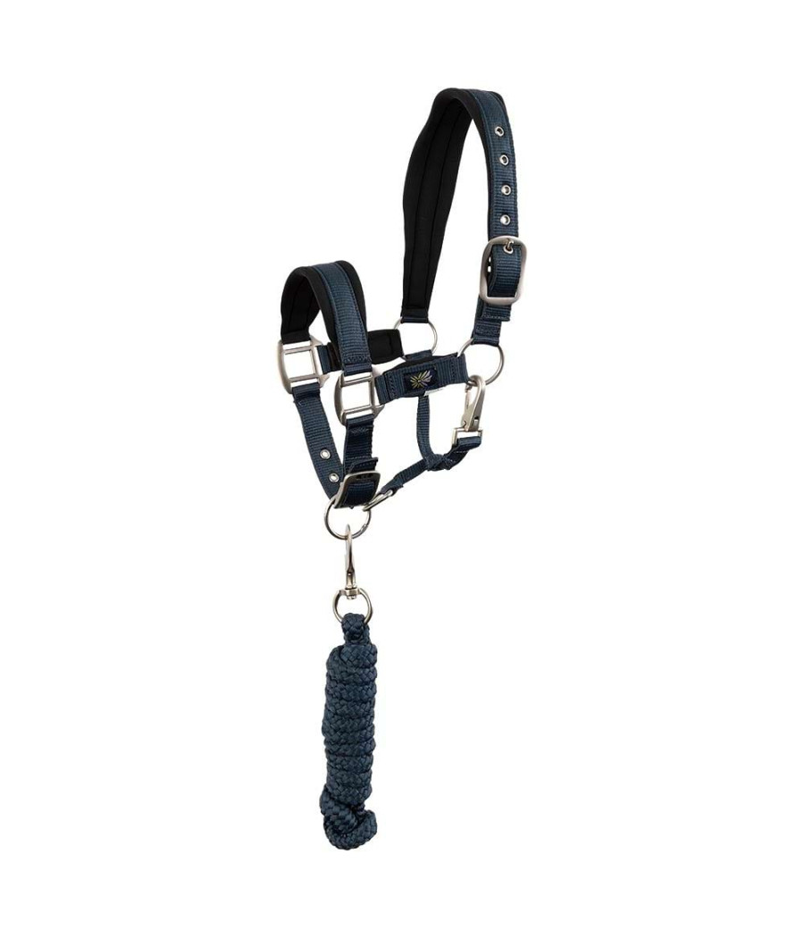 Licol et longe Mini - BR