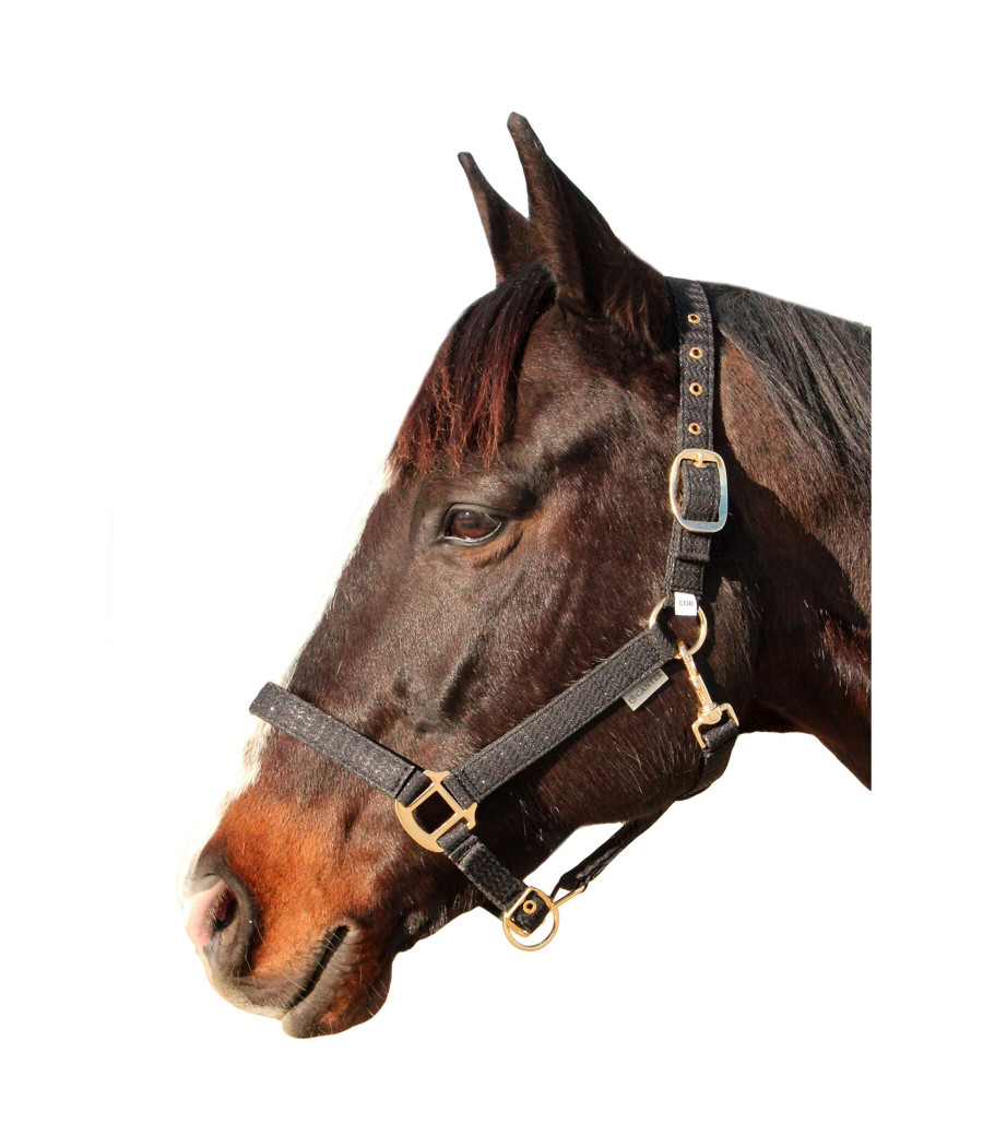Licol Malibu - CANTER