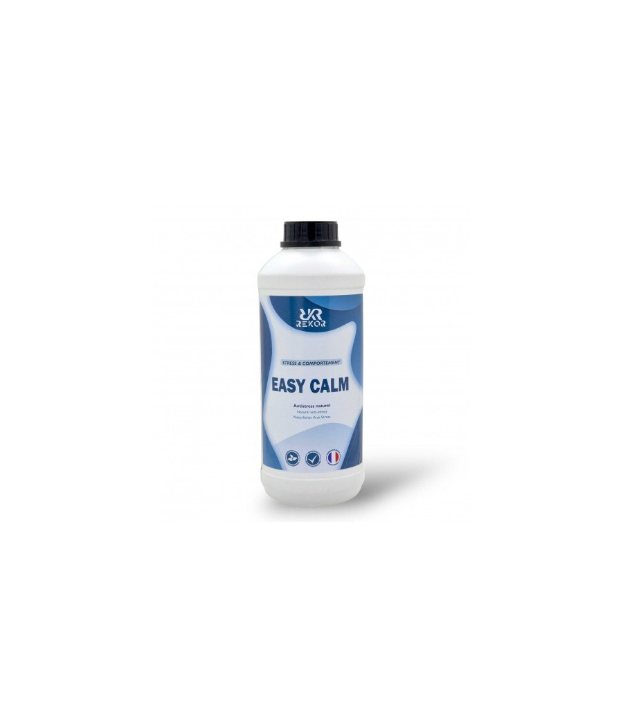 Easy Calm - REKOR
