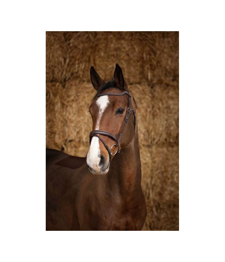 Bridon Perle Havane - NORTON