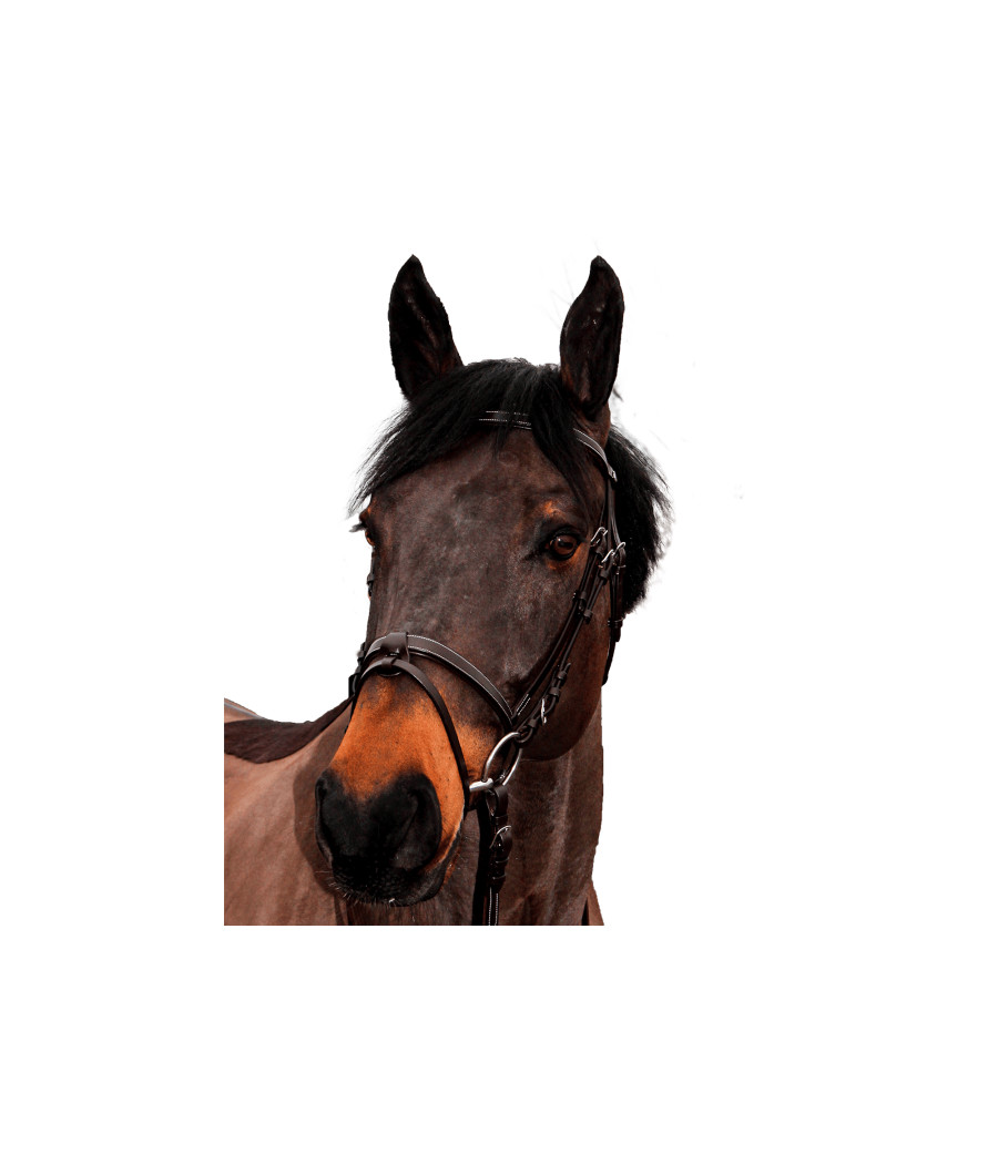 Bridon Club - CANTER