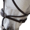 Bridon bitless Evolution - CANTER