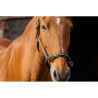 Licol Domino - EQUITHEME