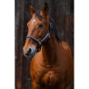 Licol Domino - EQUITHEME