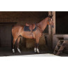 Collier de chasse Hybrid - ERIC THOMAS