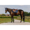Tapis Origine Je t'aime - EQUITHEME
