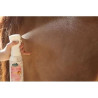Easy Shine Intense 500ml - RAVENE
