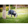 Couverture Amigo ripstop dog rug - HORSEWARE