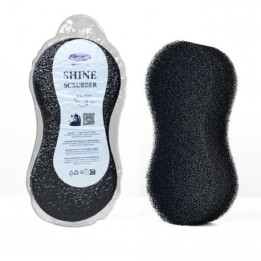 Eponge Shine Scrubber