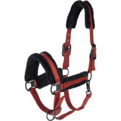 Licol AW25 - COVALLIERO