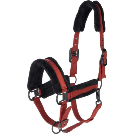 Licol AW25 - COVALLIERO