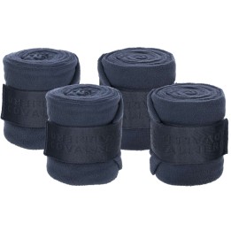 Bandes polaires