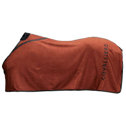 Couverture polaire AW25 -...