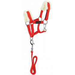 Mini Licol + longe - PONY...